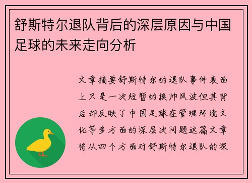 舒斯特尔退队背后的深层原因与中国足球的未来走向分析