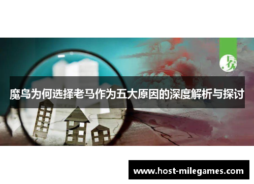 魔鸟为何选择老马作为五大原因的深度解析与探讨
